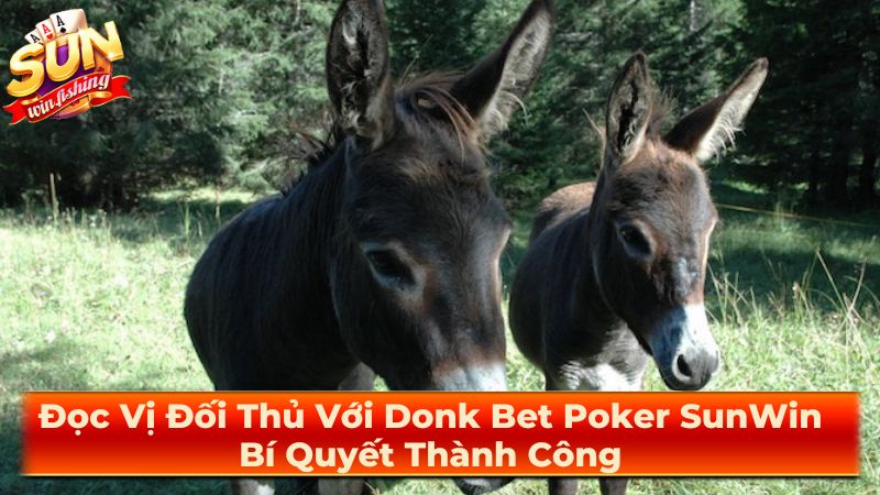 Tại sao sử dụng Donk bet?